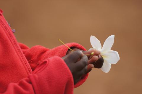 Junge mit roten Pullover und weisser Blume