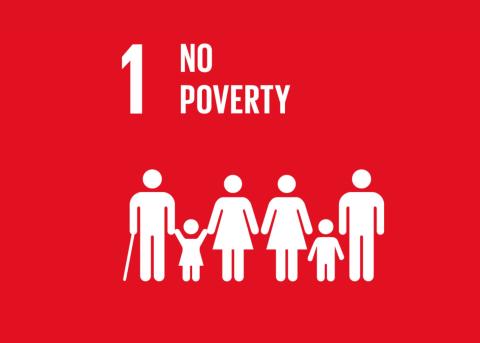SDG 1