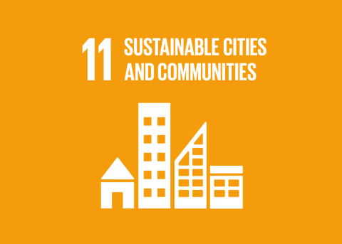 SDG 11