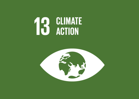 SDG 13