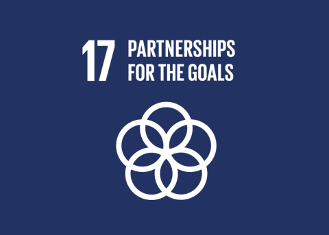 SDG 17