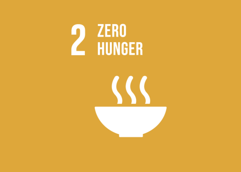 SDG 2