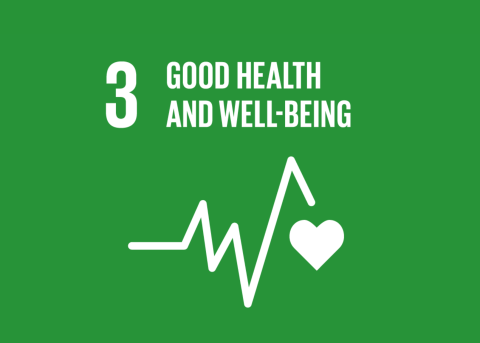 SDG 3