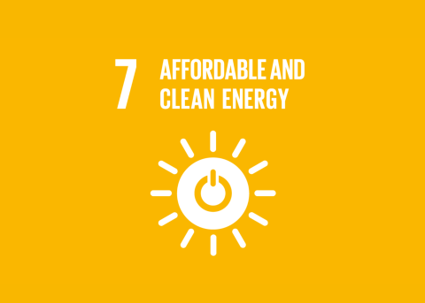 SDG 7