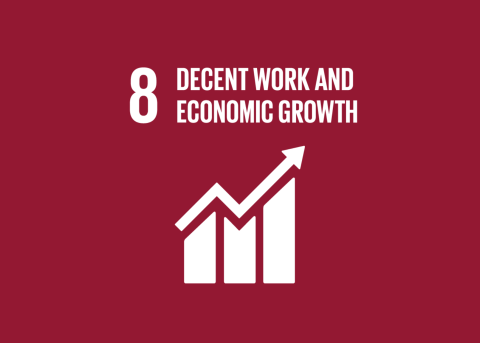 SDG 8