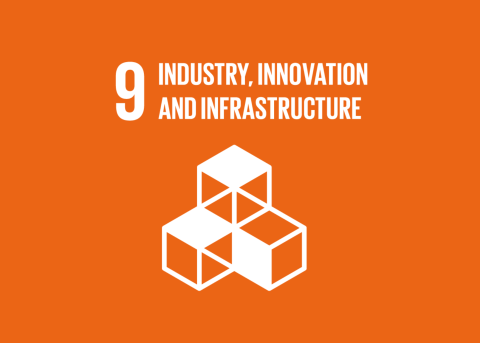 SDG 9