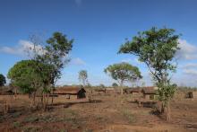 Dorf aus Strohhütten in Cabo Delgado