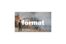 nzz format